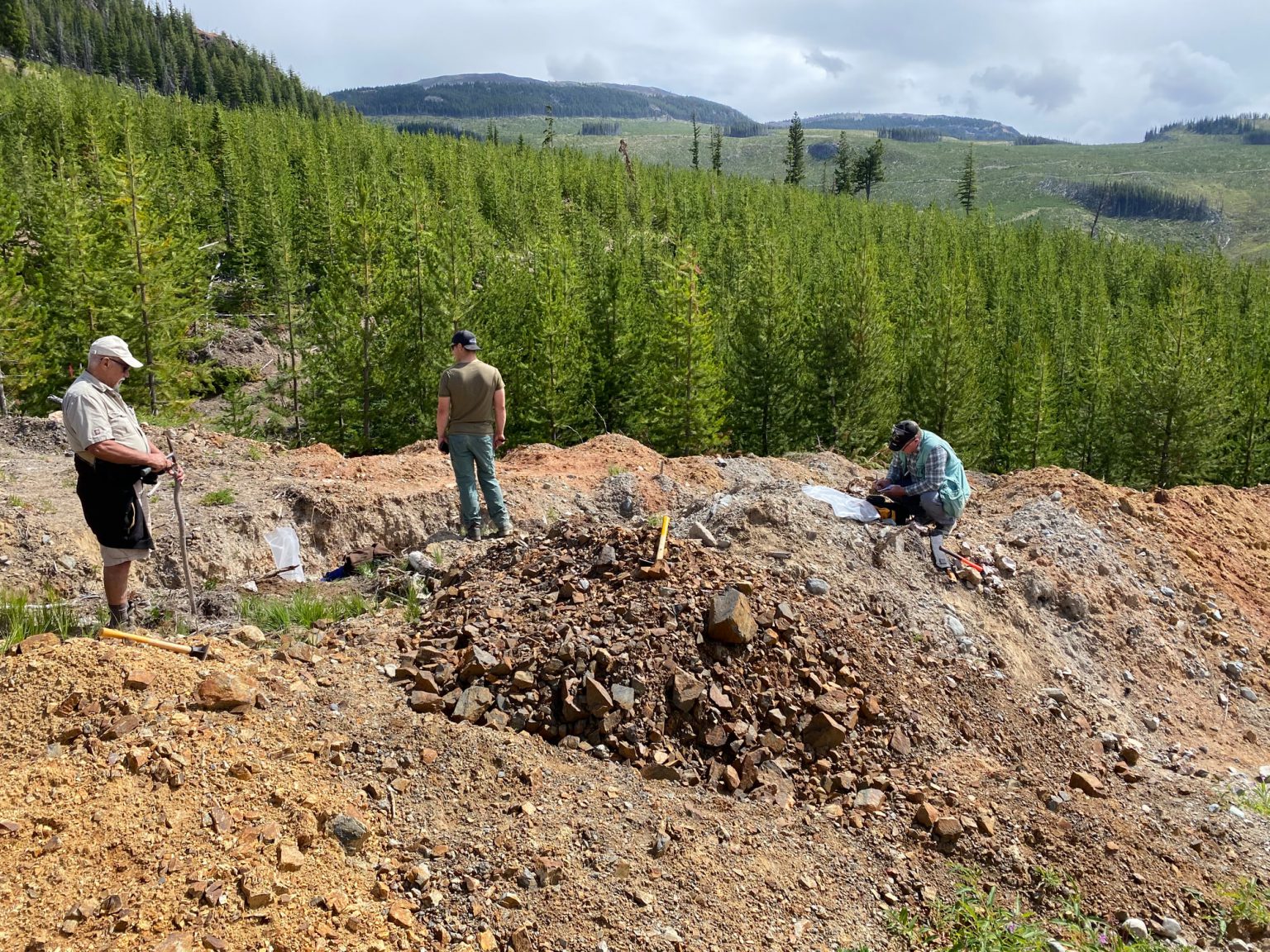 Damara Gold Grab Samples Up To 70.6 G/t Gold At Placer Mountain ...