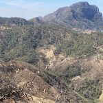 Prime Mining drills 6.19 g/t AuEq over 12 metres at Los Reyes, Mexico