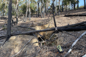 Tinone drills 0.25% tin over 39 metres at Great Pyramid, Tasmania ...