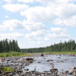 Silver Spruce mobilizes exploration crews to Mystery gold project, Newfoundland