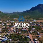 Avino Achieves Record Financial Performance for 2024; Improvements Across Key Financial Metrics, Treasury at All-Time High