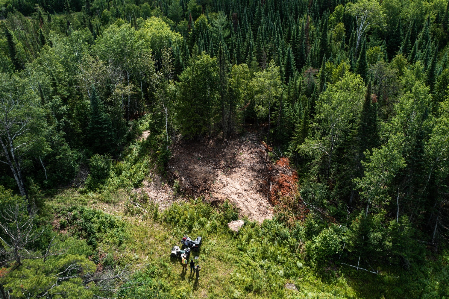 Golden Rapture Mining samples up to 204 g/t gold at Phillips, Ontario ...