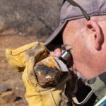 Intrepid Metals details new drill targets at Corral Copper Project, Arizona