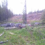 Kestrel partner Centerra locates gold soil anomalies and plans drilling at QCM Property, British Columbia