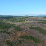 Canterra Minerals posts Newfoundland Critical Minerals Projects end-of-year update