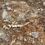 Sokoman Exploration Update – Trenching / Bulk Sampling / Drilling Moosehead Gold Project, Central Newfoundland