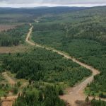 Puma Exploration extends Lion Gold Zone to 550 metres program at Williams Brook Project, New Brunswick