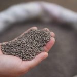 Red Cloud Report: Nevada Organic Phosphate Extends Mineralized Trend at Murdock Mountain
