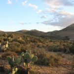 Zacatecas Silver options Lourdes Gold-Silver Project, Mexico